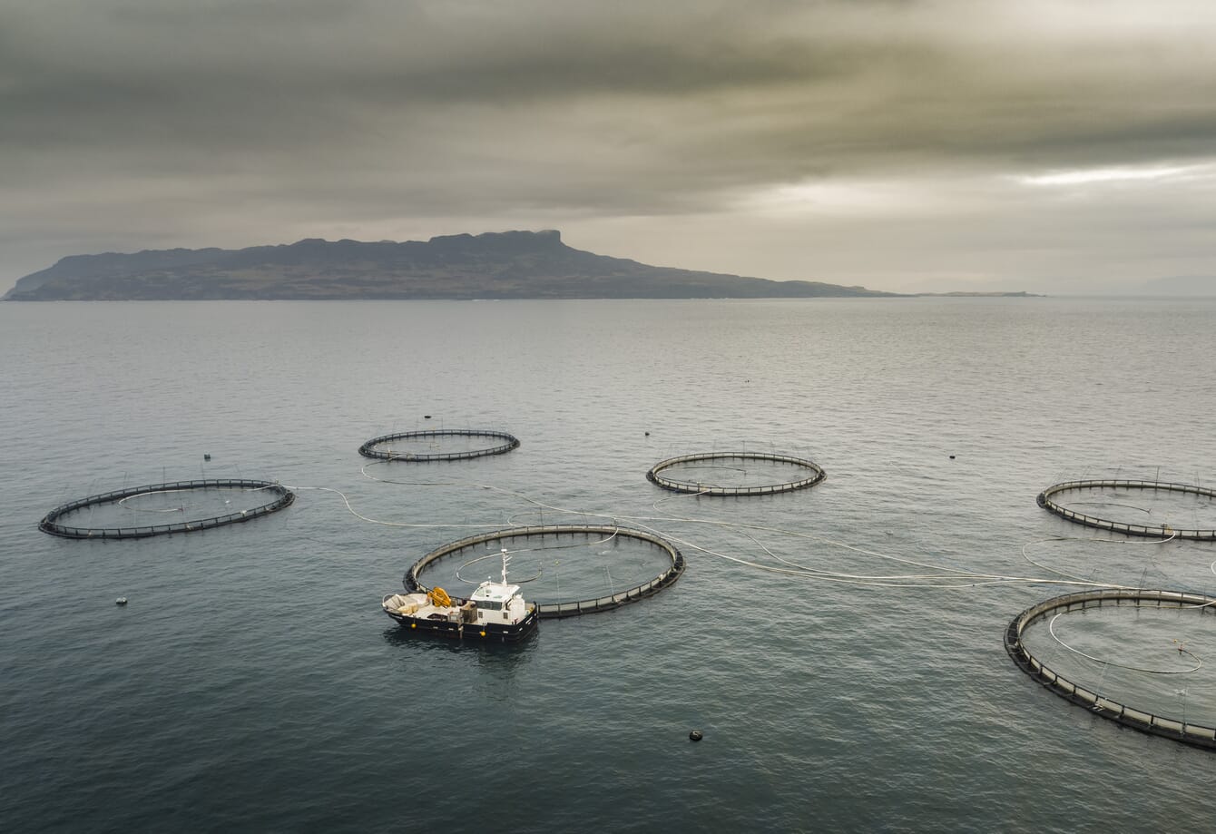 a salmon farm