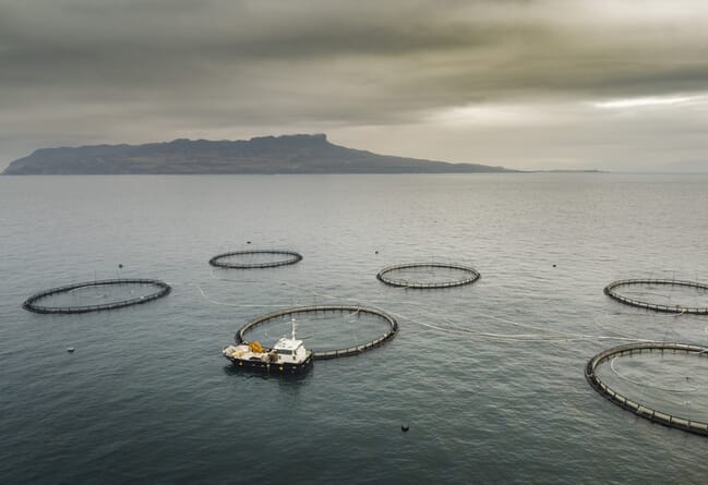 Six fish pens in the Scottish sea with a work vessel next to a cage.