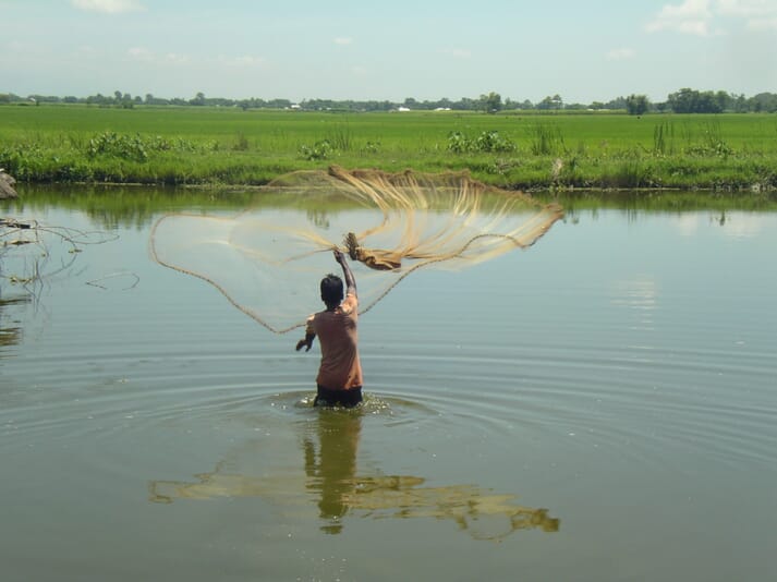 fish farmer throwing a net into water