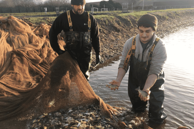 Netting fish at the National Coarse Fish Rearing Unit.