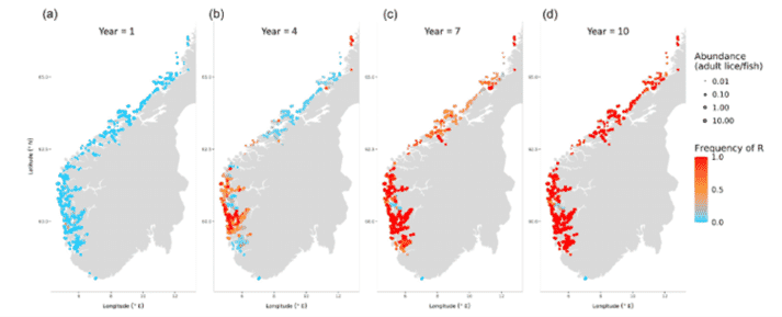 A visualisation of the model output, representing the population of adult salmon lice on salmon farms (each point represents one farm site) across the southern Norway over 10 years