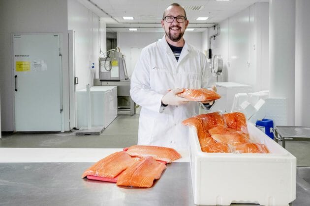 person standing with salmon in boxes