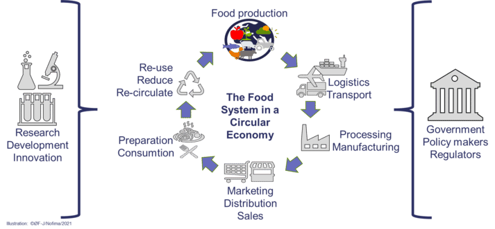 The food system