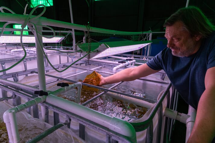 researcher with recirculating aquaculture tanks