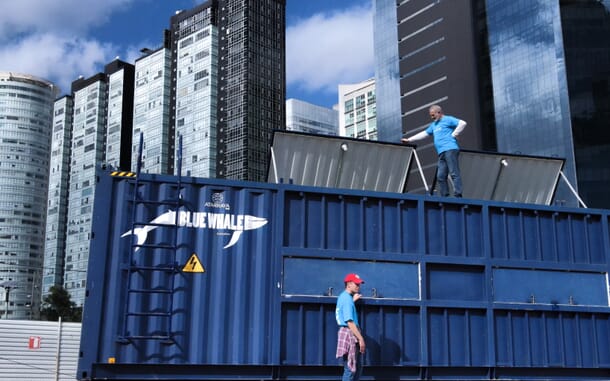 Shrimp - page #6 | The Fish Site