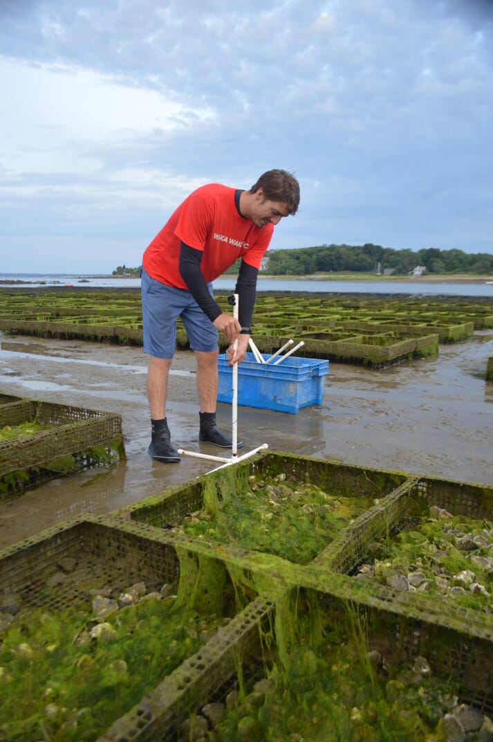 Northeastern University Marine Science Center researcher Forest Schenck sets up a camera to capture underwater video of oyster trays at an Island Creek Oysters farm in Plymouth, Massachusetts