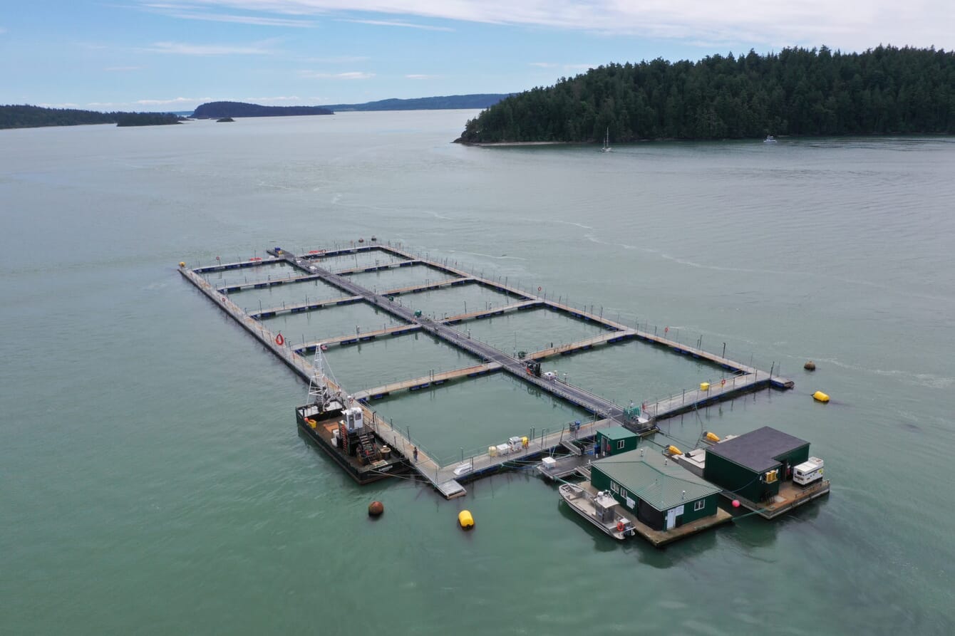 an aerial view of a fish farm