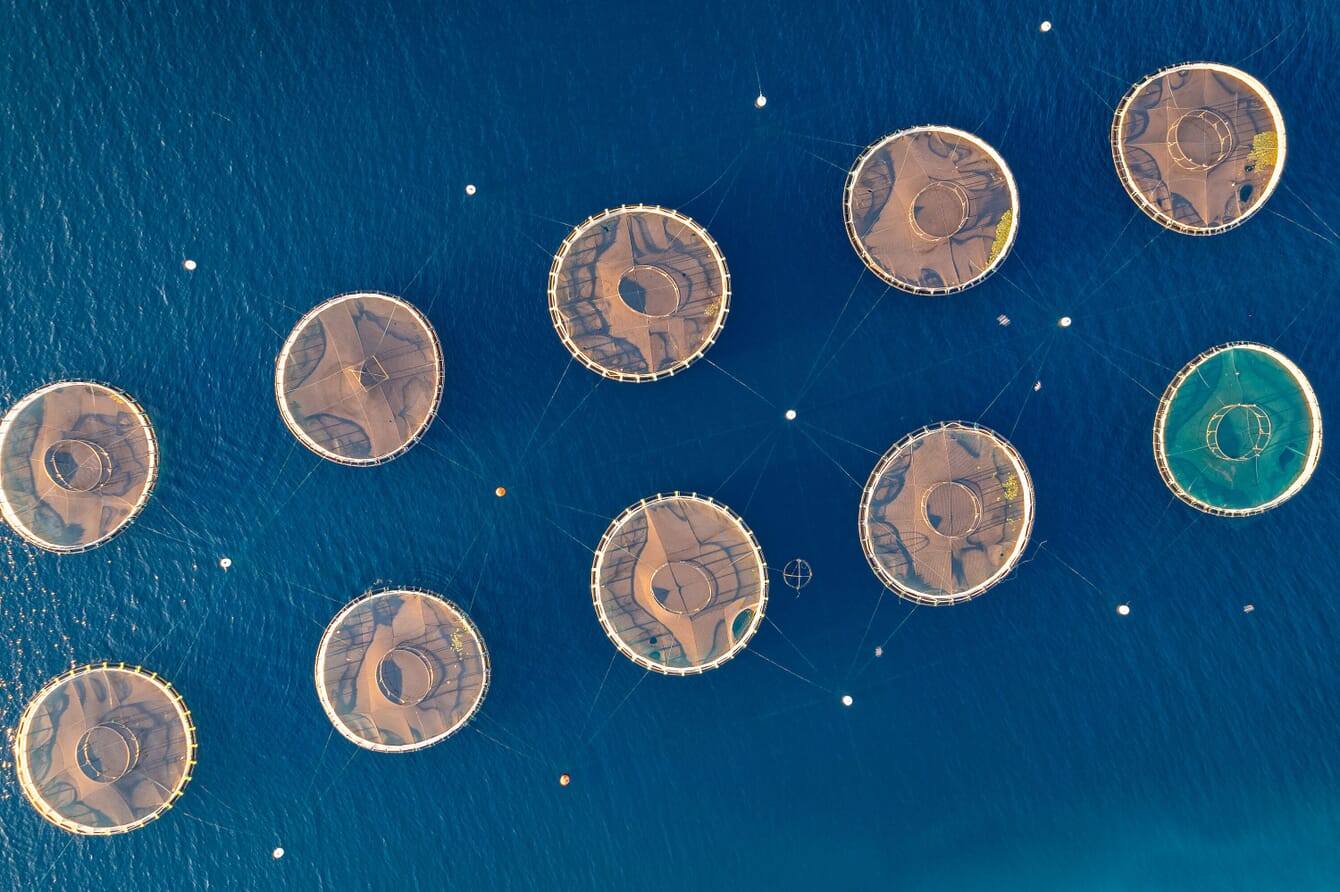 aerial view of a fish farm