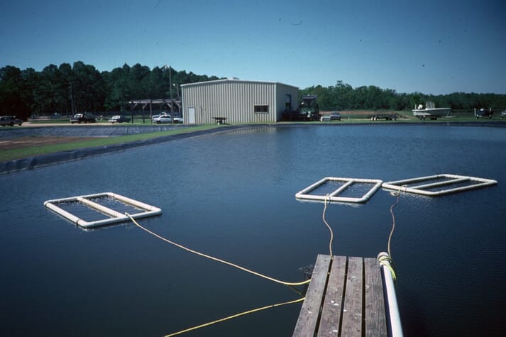 aquaculture on flipboard aquaculture, aquaponics, oysters