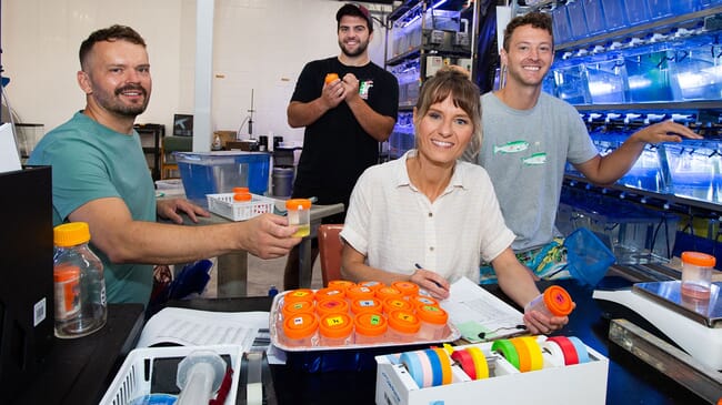 From the left are Michal Wojno, Giovanni Molinari, Karolina Kwasek, and Peter Boessen