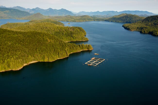 Aerial photo of salmon farm