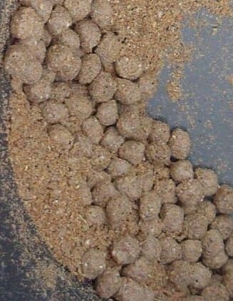 Pieces of broken feed pellets, known as fines, can have a detrimental effect on your bottom line and on water quality