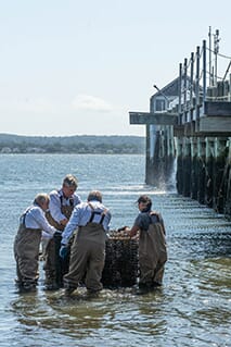 people standing in water near a pier