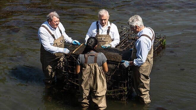 four people standing near an oyster basket