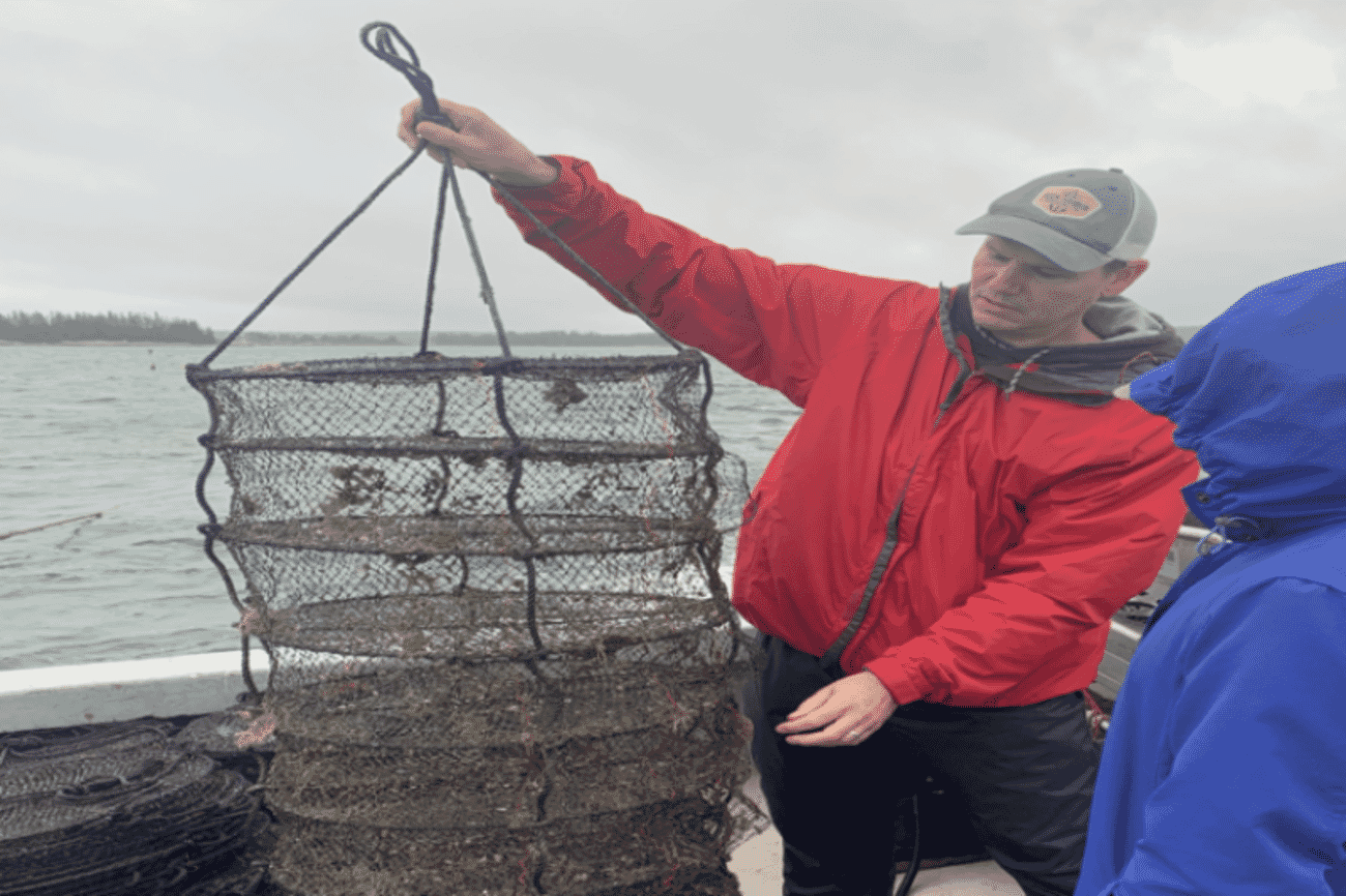 Maine’s scallop industry is offering fishermen new opportunities at sea