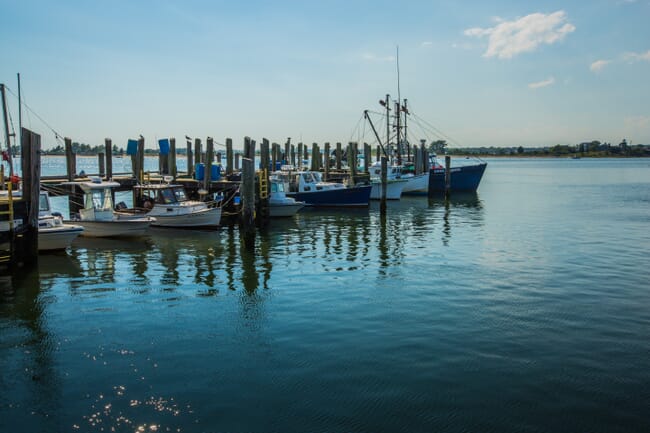 ships docked at a marina