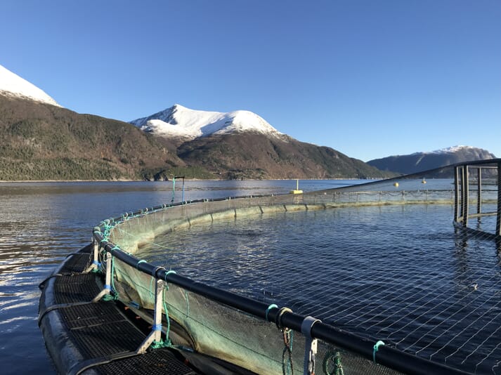 Salmon pen with robotic technology