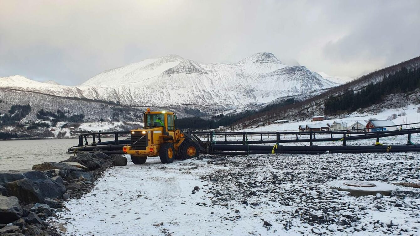 digger moving a salmon net pen