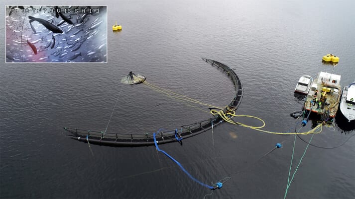 A number of submersible cages are commercially available, including Akva's Atlantis design
