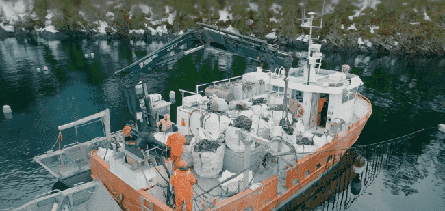 A boat filled with bags of ropes.