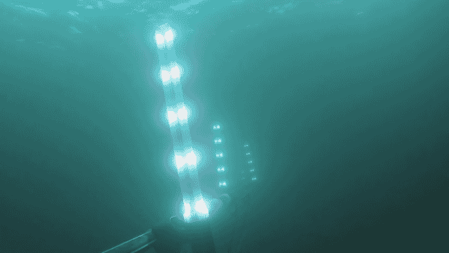 An nderwater light trap for sea lice deployed in the Norwegian sea.