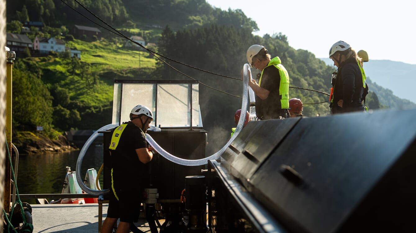 A group of workers on a salmon farm installing machines.