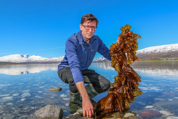 Philip James from New Zealand coordinates AquaVitae, an €8 million EU funded low-trophic aquaculture project. Here holding an example of macroalgae in Tromsø, Norway. Macroalgae is one of the five value chains to be addressed in the project.