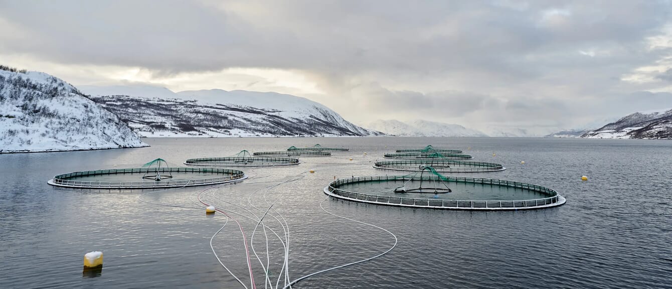 An aerial view of a salmon farm by the mountains.