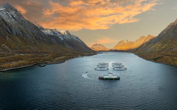 Norcod responds to alleged fish escapes | The Fish Site