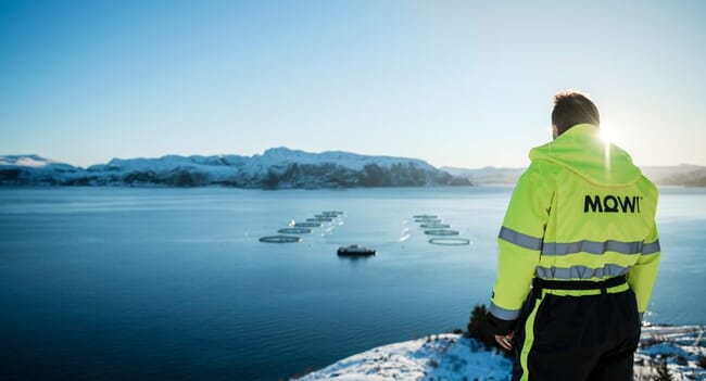 Mowi worker overlooking Norwegian salmon farm.