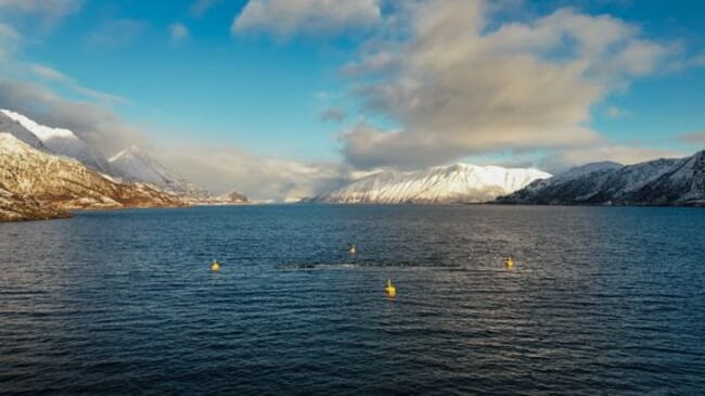 A Norwegian salmon aquaculture farm exposed to jellyfish stings.