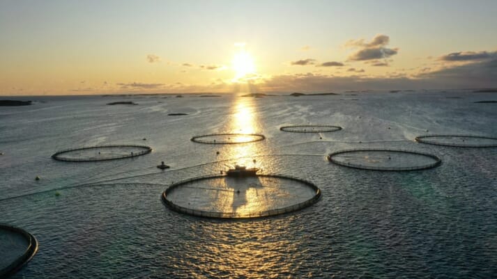Aerial view of fish pens at sunset