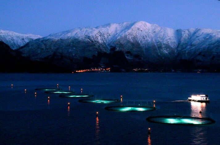 a series of salmon pens at night against the backdrop of snowy mountains