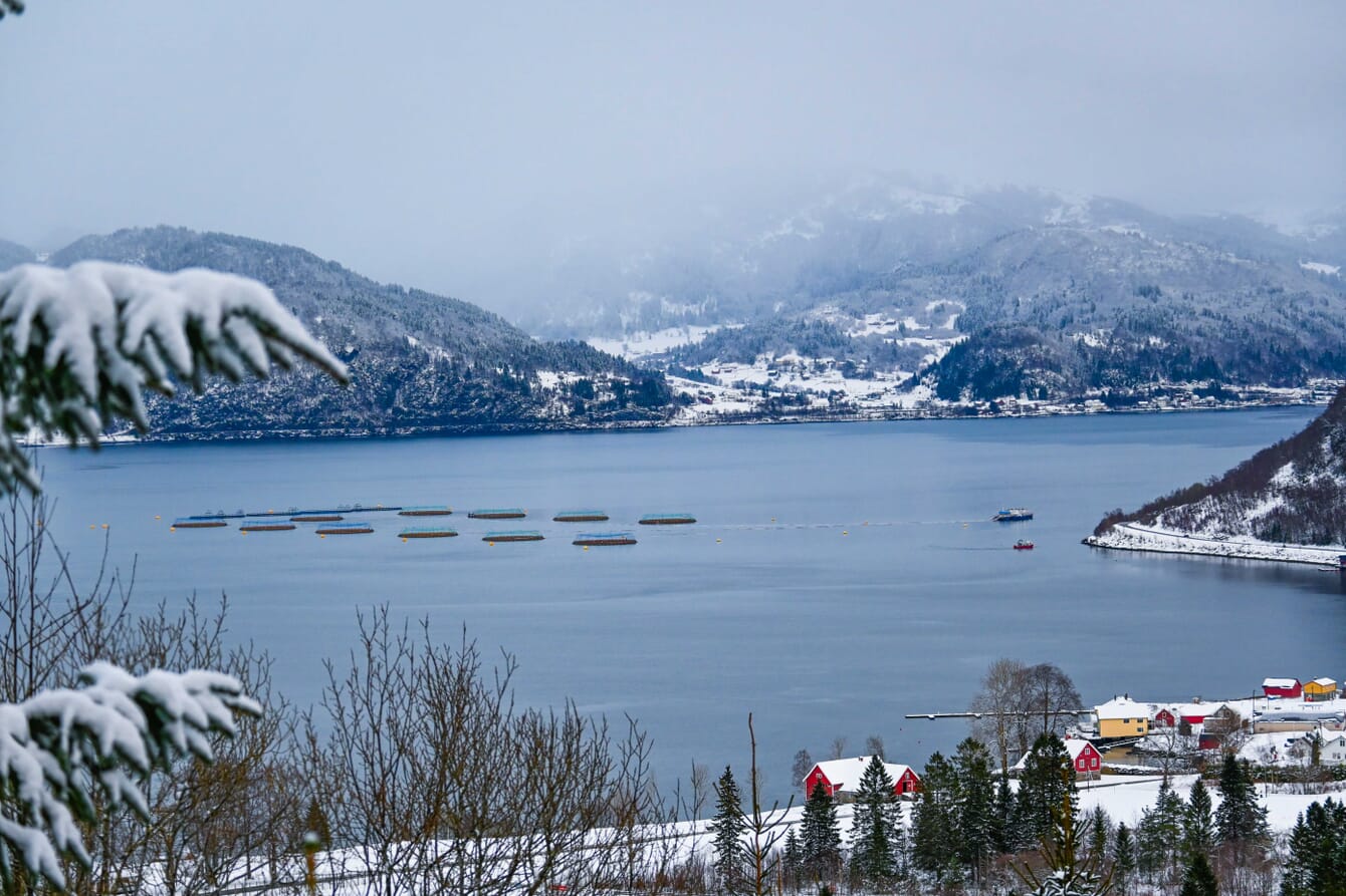 A photo of a cod farm in Norway during winter.