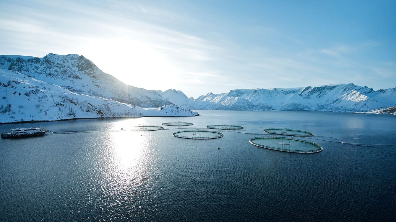An aerial view of an Atlantic salmon farm in Norway during winter.