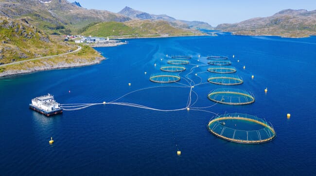 Aerial view Norwegian salmon farm.