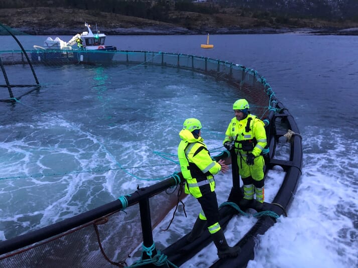 Two workers were standing on the fish pen