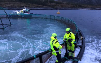 Fish fingerlings: purchasing, transporting and stocking | The Fish Site