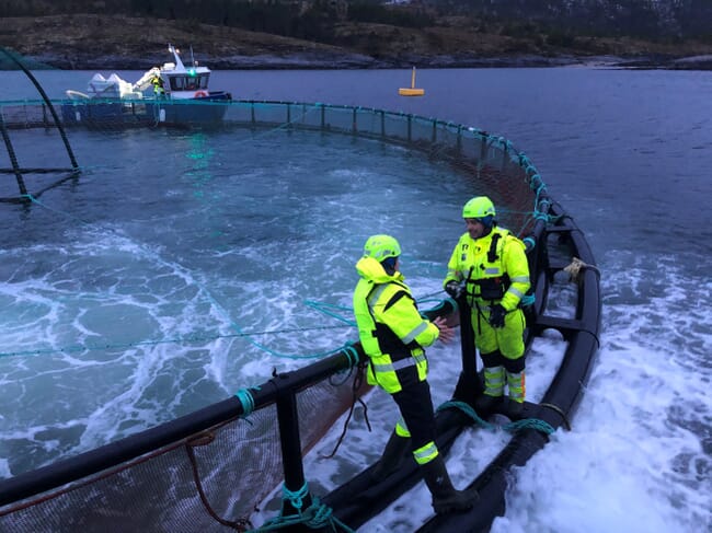 two workers standing on a fish pen