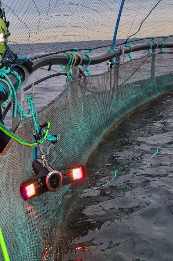Eight of the hyperspectral cameras are currently being deployed at commercial salmon farms in Norway