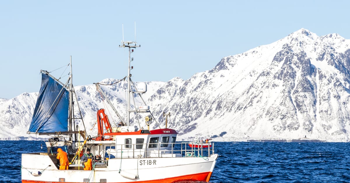 Study suggests blockchain could bolster consumer trust in seafood Study suggests blockchain could bolster consumer trust in seafood