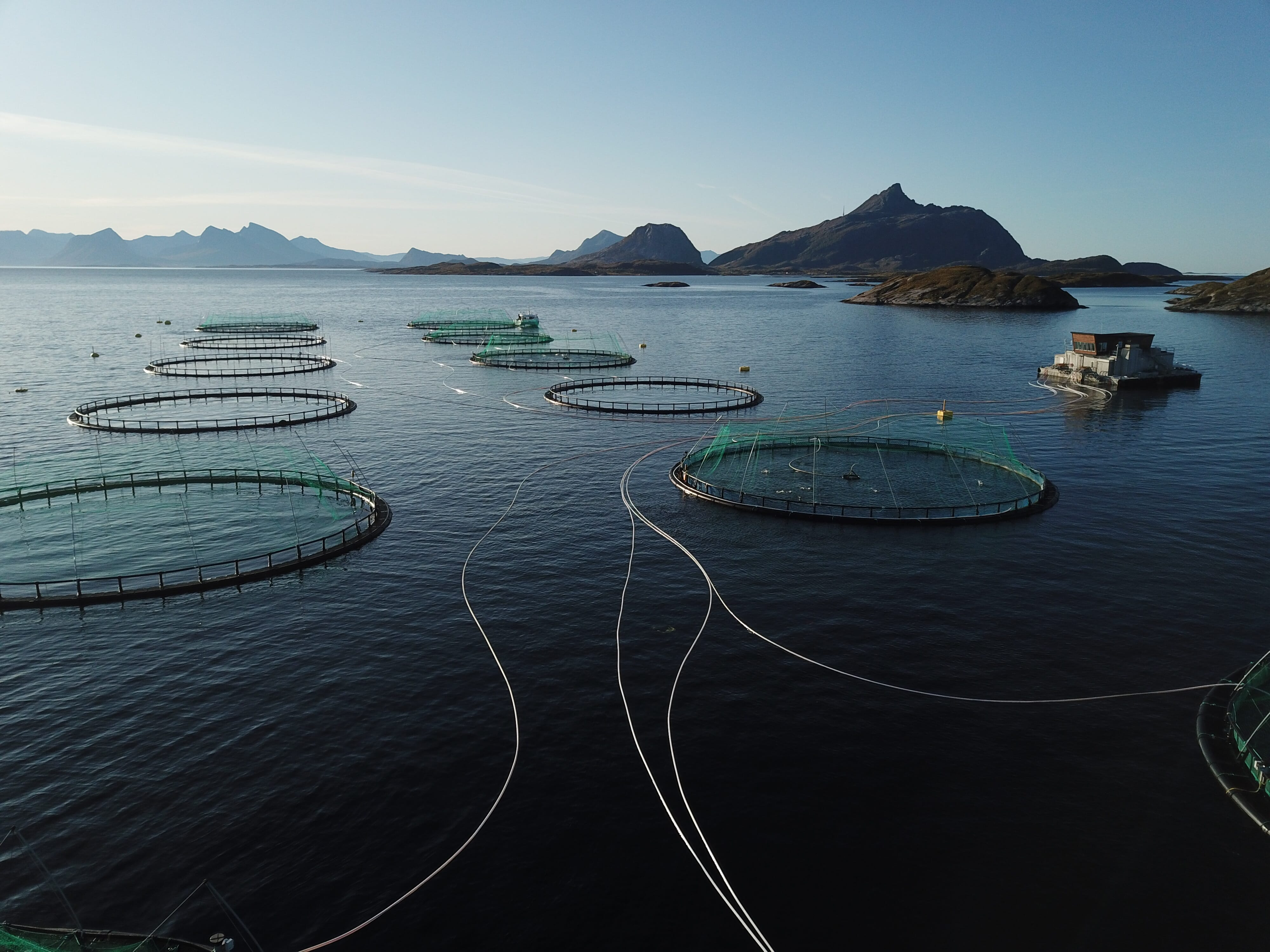 Aquaculture Norway