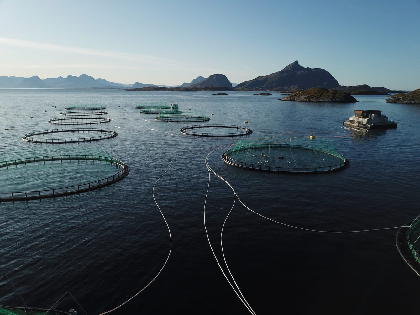 aerial view of a salmon farm