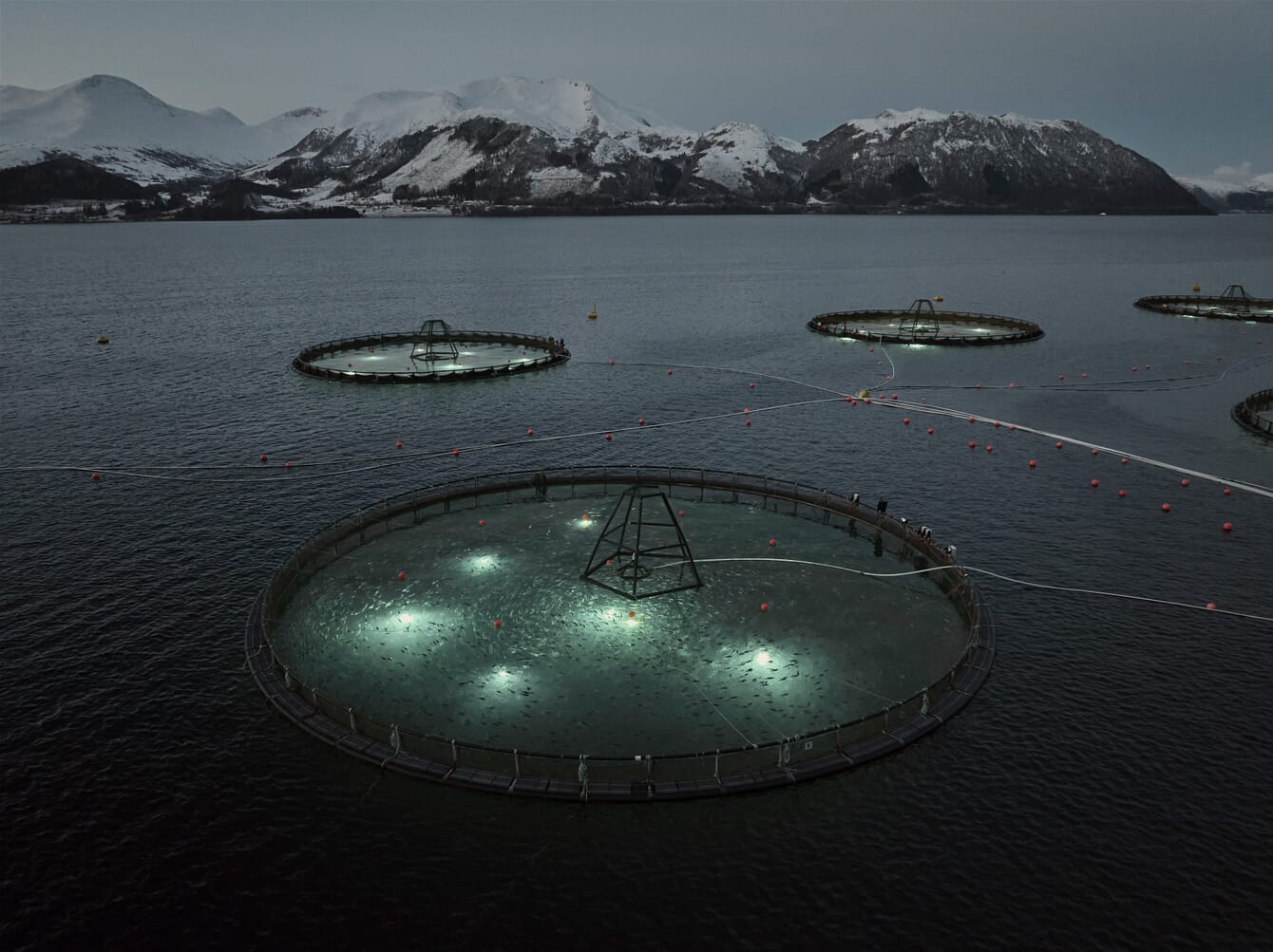 Aerial view of a cod farm at night.