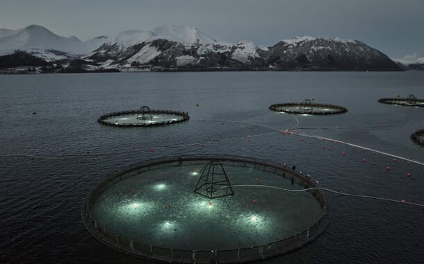 Ode to acquire its own cod processing plant | The Fish Site