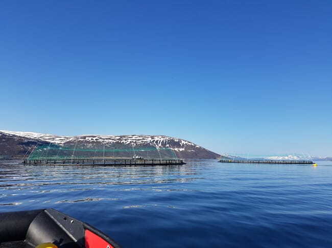 net pens near the shore