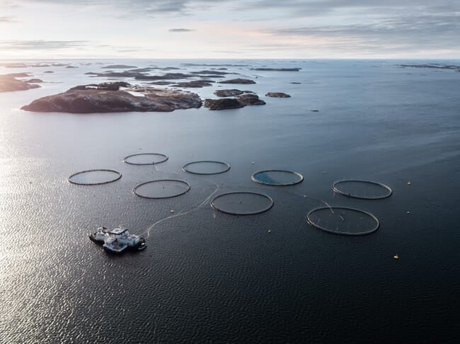 net pen aquaculture site