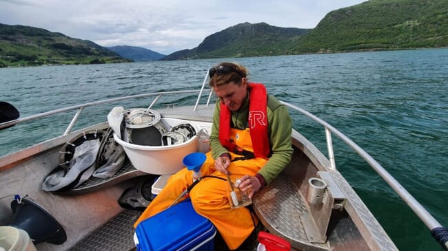 person sitting in a boat