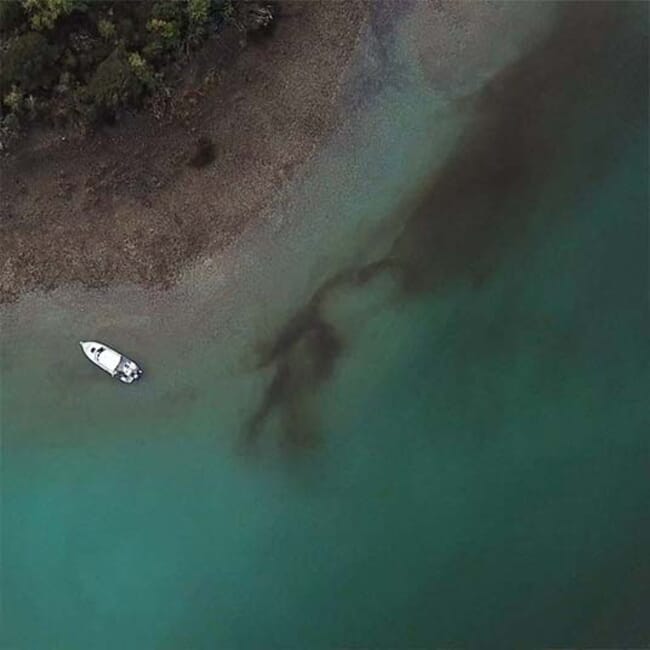 Aerial view of a harmful algal bloom