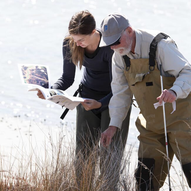 estuary research